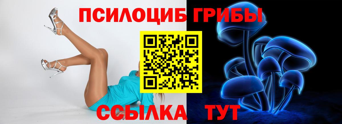 Галлюциногенные грибы Cubensis  Псилоцибиновые грибы GOLDEN TEACHER  Вход с VPN  Каменка 